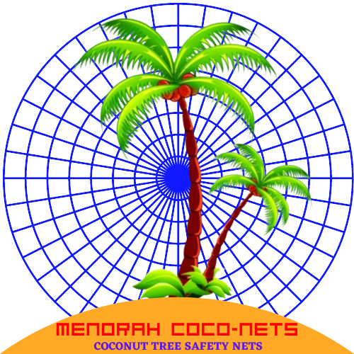 Menorah CocoNets