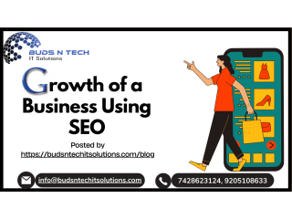 Growth of a Business Using SEO