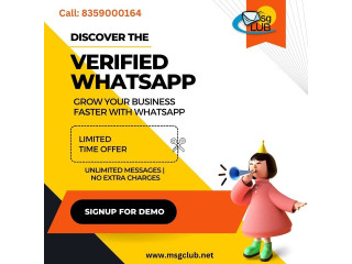 Verified WhatsApp Business API Everything You Need to Know About the WhatsApp Business API