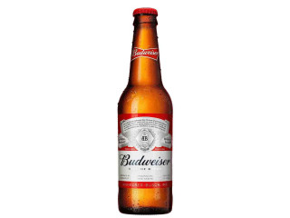Buy Budweiser Beer Online - 33cl Bottle | African & Eastern Dubai