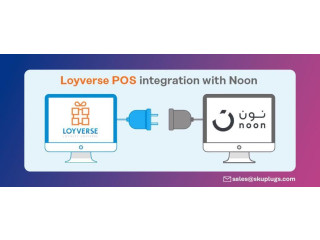 Loyverse Noon Integration | Sync real time inventory | SKUPlugs