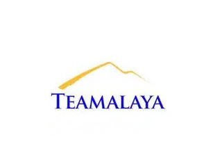 Teamalaya Recruitment Services | Teamalaya Dubai | Teamalaya UAE | Teamalaya Gulf