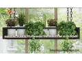 hanging-plants-to-enhance-the-beauty-of-your-home-small-0