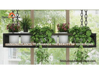 HANGING PLANTS TO ENHANCE THE BEAUTY OF YOUR HOME