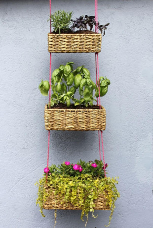 hanging-plants-to-enhance-the-beauty-of-your-home-big-3