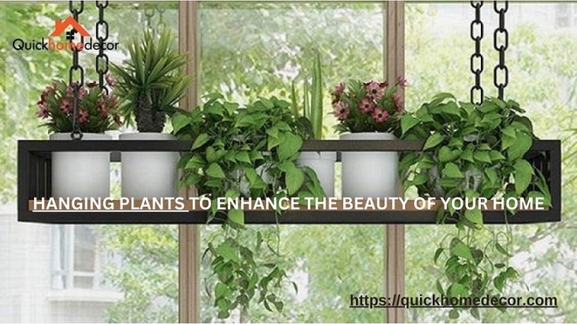 hanging-plants-to-enhance-the-beauty-of-your-home-big-0