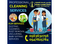 deep-villa-flat-cleaning-services-near-me-sharjah-ajman-small-2