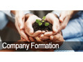 company-formation-experts-small-0