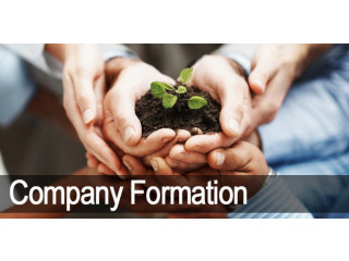 Company Formation experts