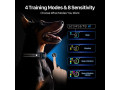 rechargeable-anti-barking-dog-bark-collar-with-8-step-adjustable-sensitivity-small-0