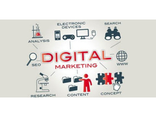 Digital Marketing Done Right: Experts in Noida