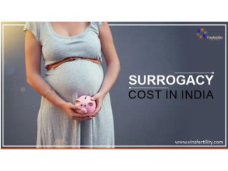 Surrogacy Cost in India 2024 vinsfertility