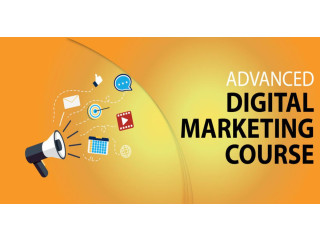 Digital Marketing Courses In Vadodara