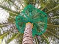 coconut-tree-net-fixing-in-bangalore-call-menorah-coconets-6362539199-small-0